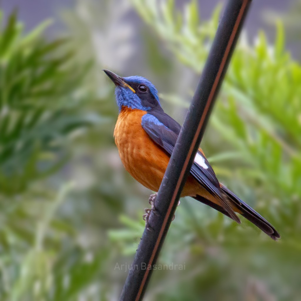 Spiti Sojourn – Spiti Valley – Part 1 – Entering&nbsp;Kinnaur