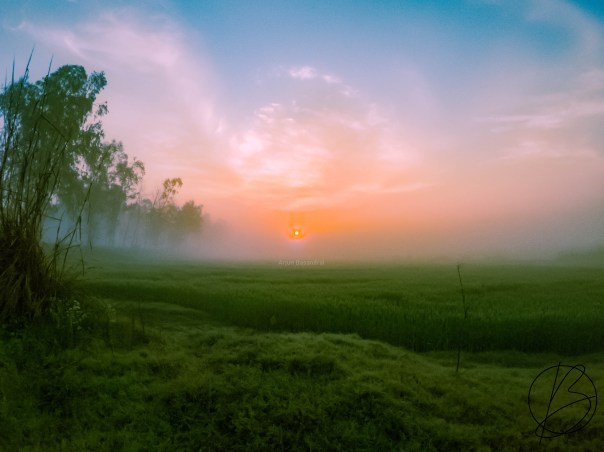 sunrise over fields