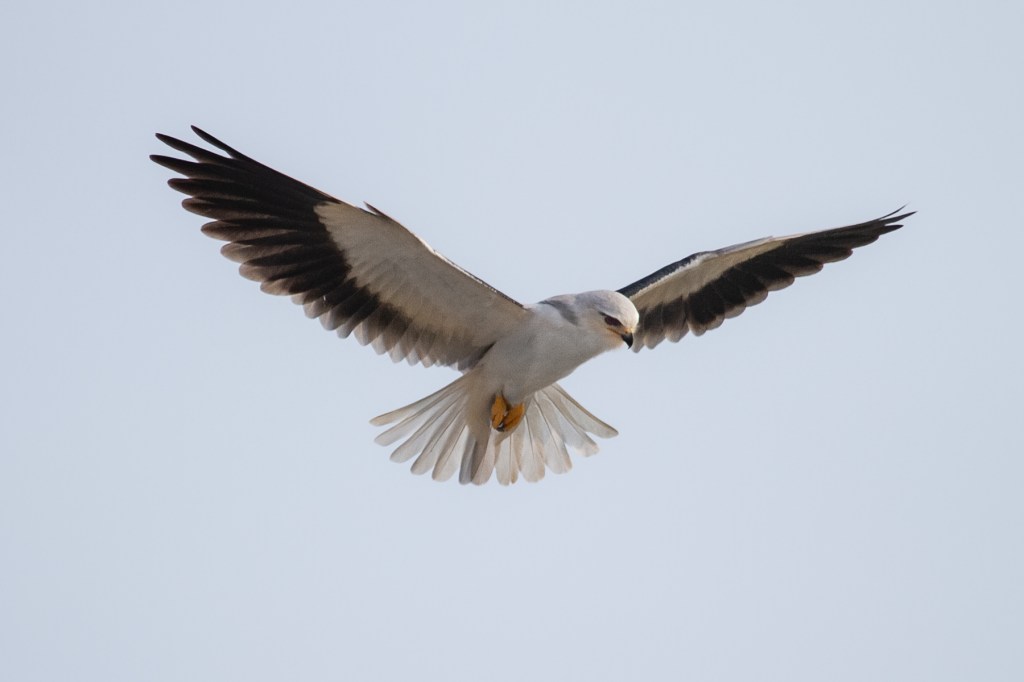 Rann Roadies – Part 2 – Jodhpur to&nbsp;Dholavira