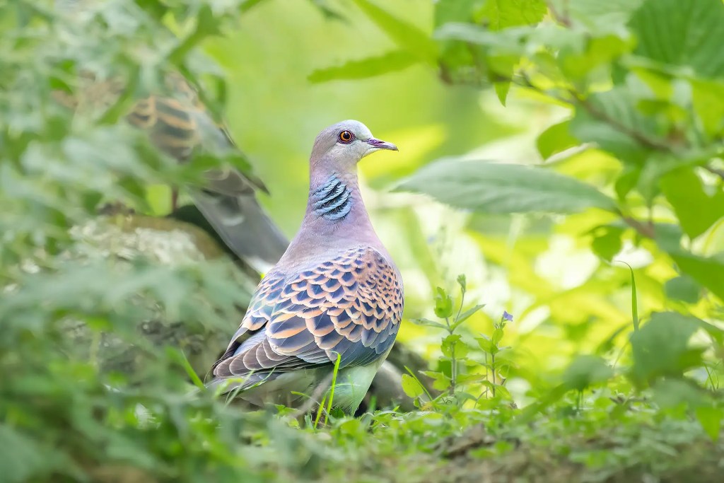 Quiet Roads East: First Miles in the&nbsp;Valley