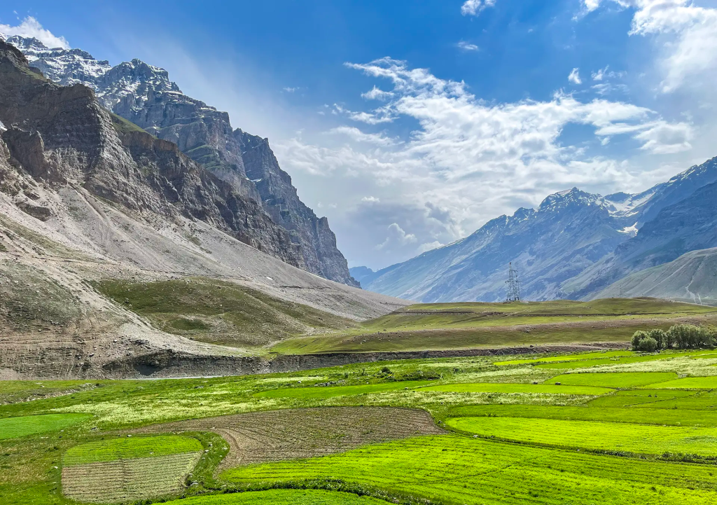 Green farmland with rugged mountains and blue sky in the background near Drass Ladakh